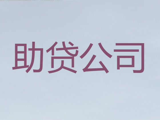 阳春贷款公司-抵押担保贷款